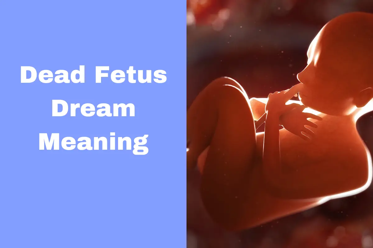 Dead Fetus Dream Meaning