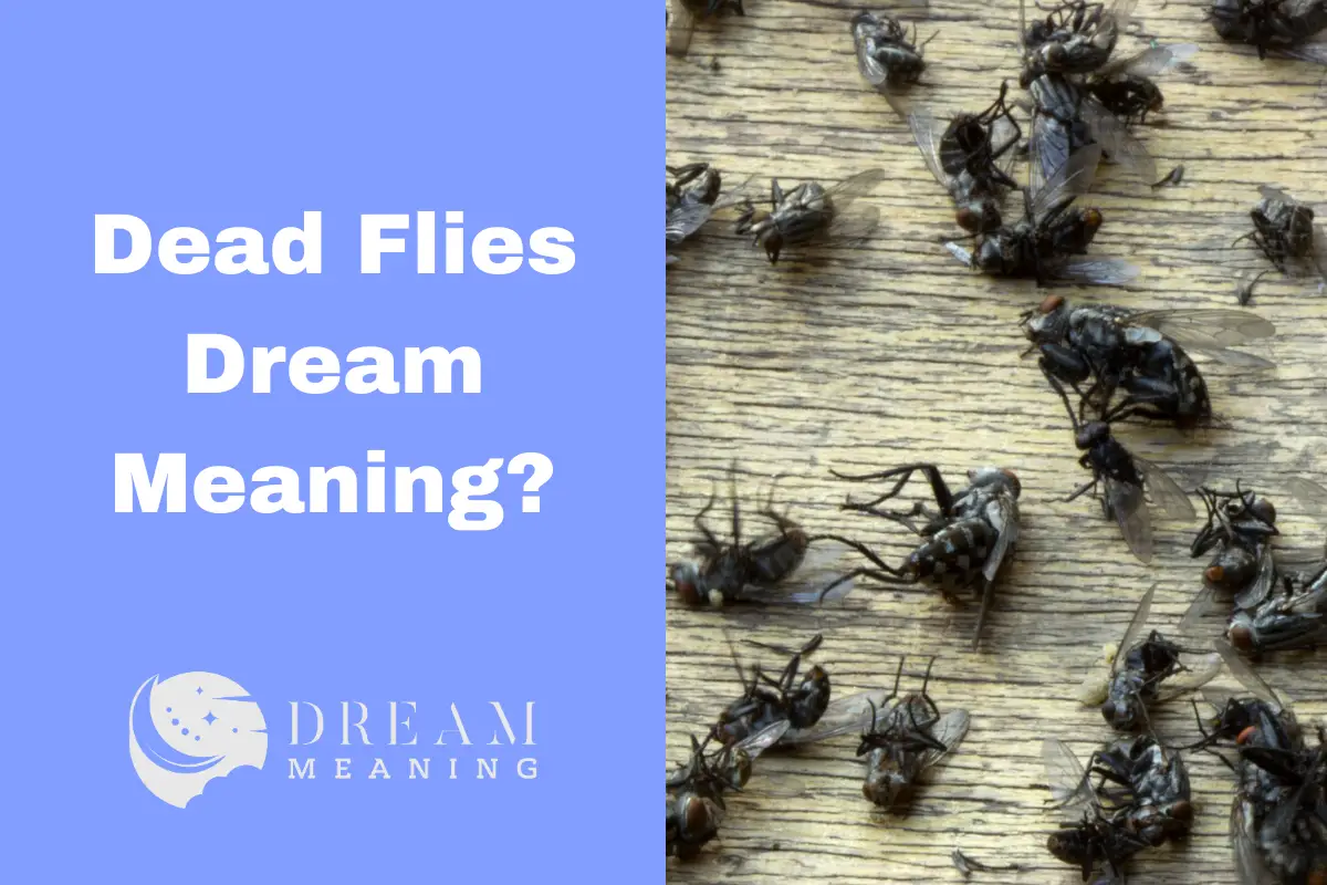 dead-flies-dream-meaning-what-does-it-signify-the-dream-meaning