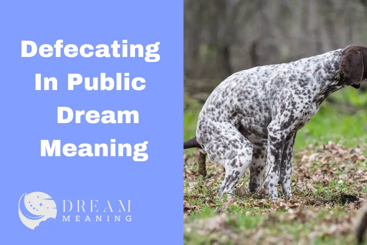 dream-meaning-of-defecating-in-public-what-does-it-mean-the-dream