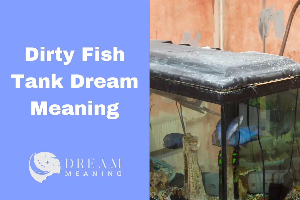 interpreting-the-meaning-of-a-dirty-fish-tank-dream-what-does-it-mean