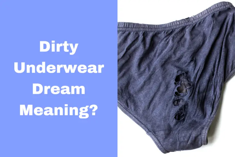 The Definitive Guide to Interpreting Dirty Underwear Dreams The Dream