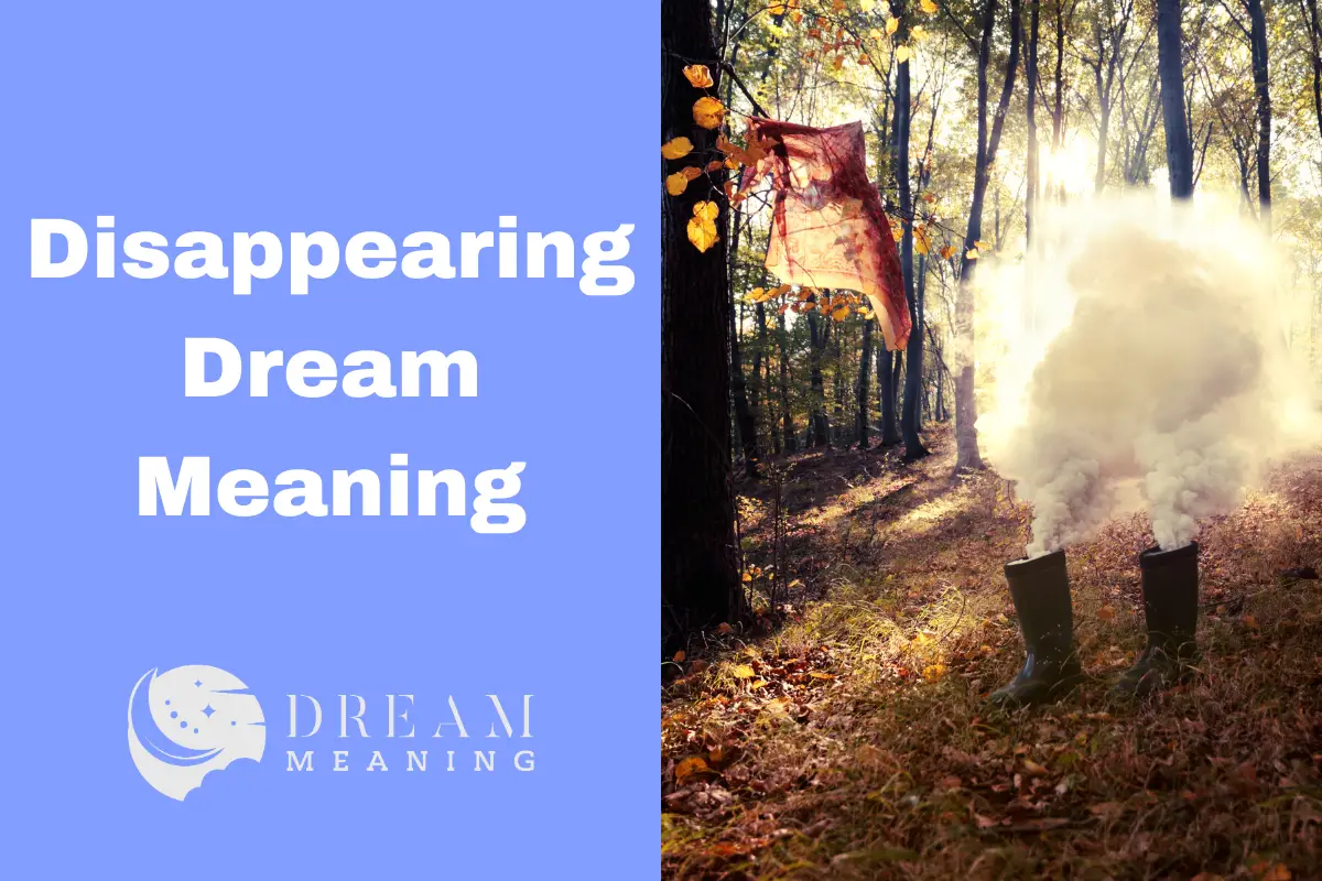 what-does-it-mean-when-you-dream-about-something-disappearing