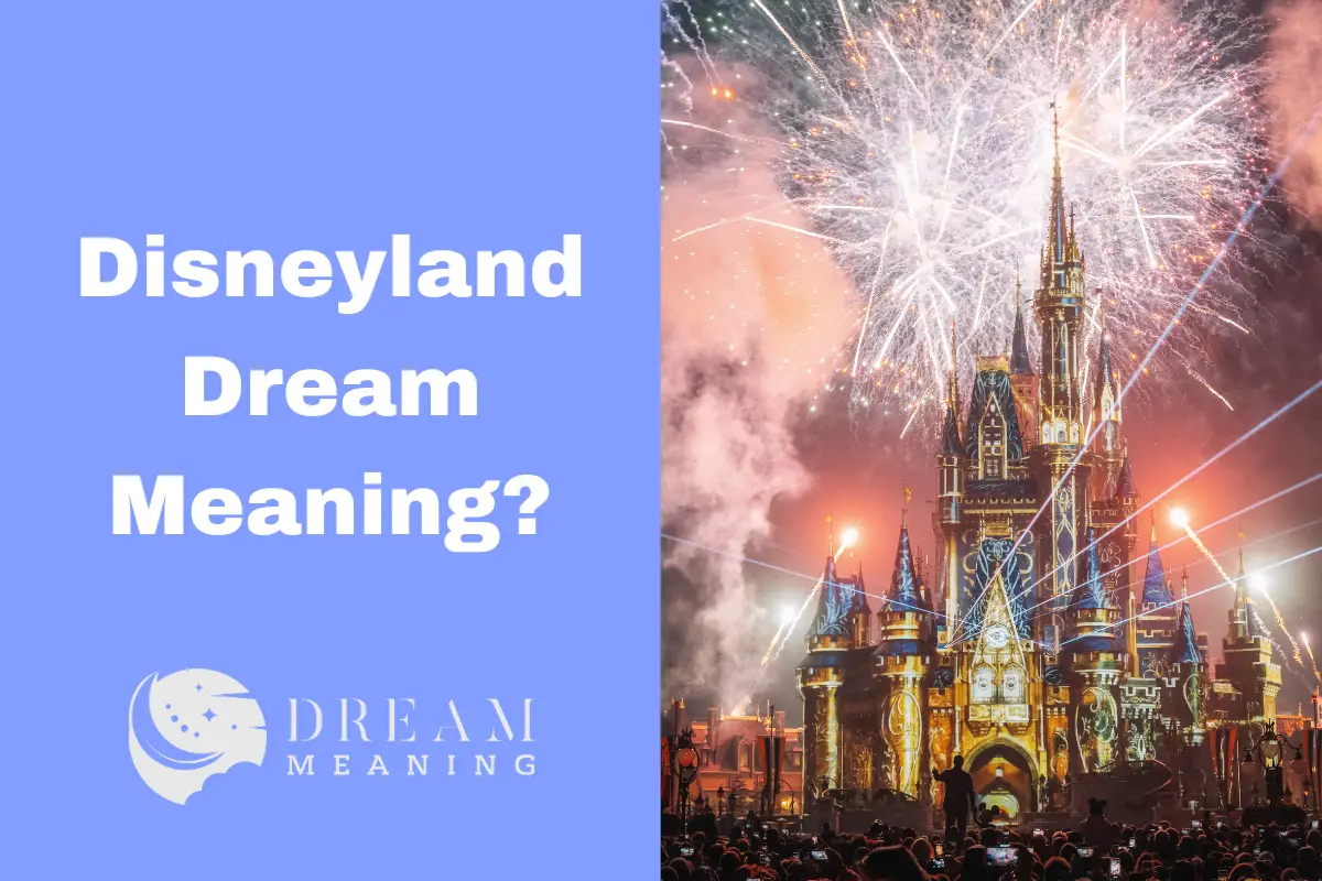 what-does-a-disneyland-dream-mean-exploring-the-symbolic-meaning-the