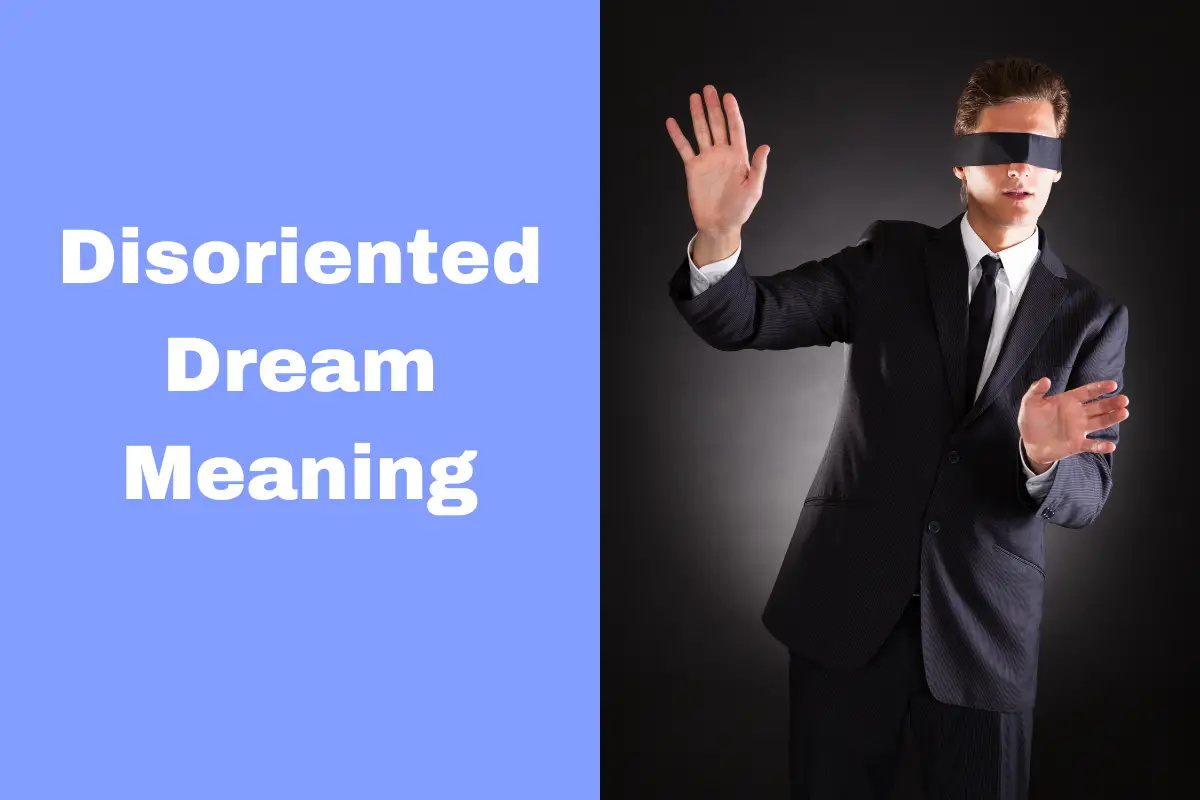 Disoriented Dream Meaning