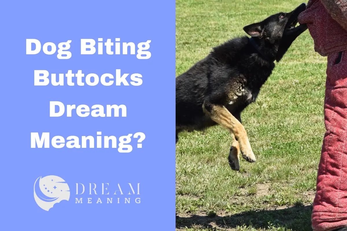 Dreaming About Dog Biting Your Buttocks? Here's What It Could Mean