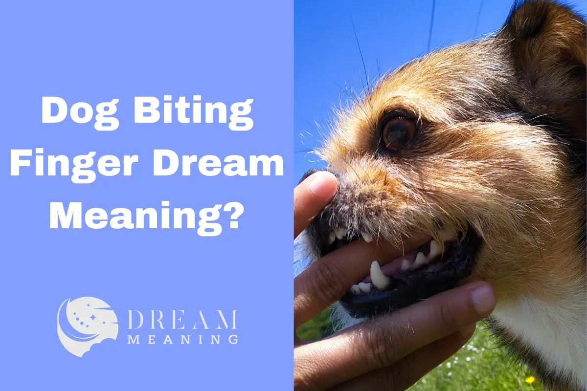 dream-meaning-of-dog-biting-finger-what-does-it-really-mean-the