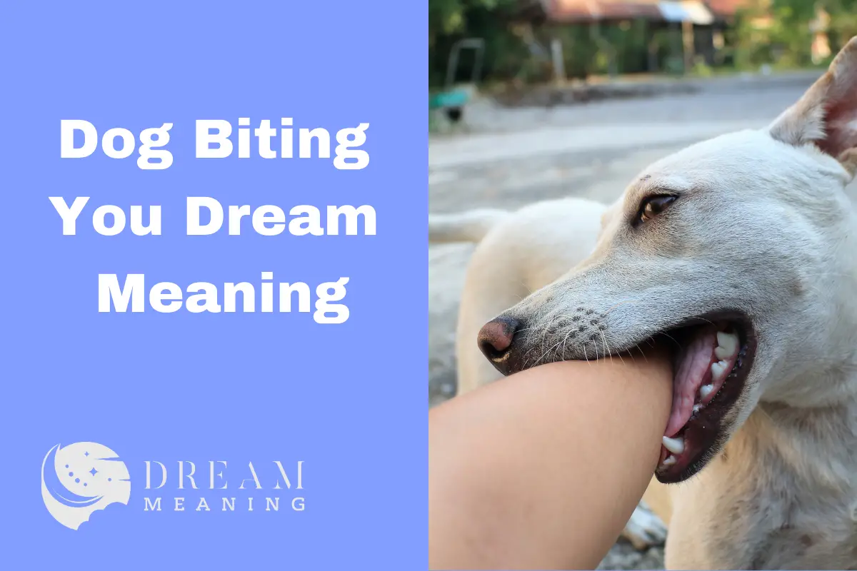 Dream Meaning: Why Is Your Dog Biting You In Your Dreams? - The Dream