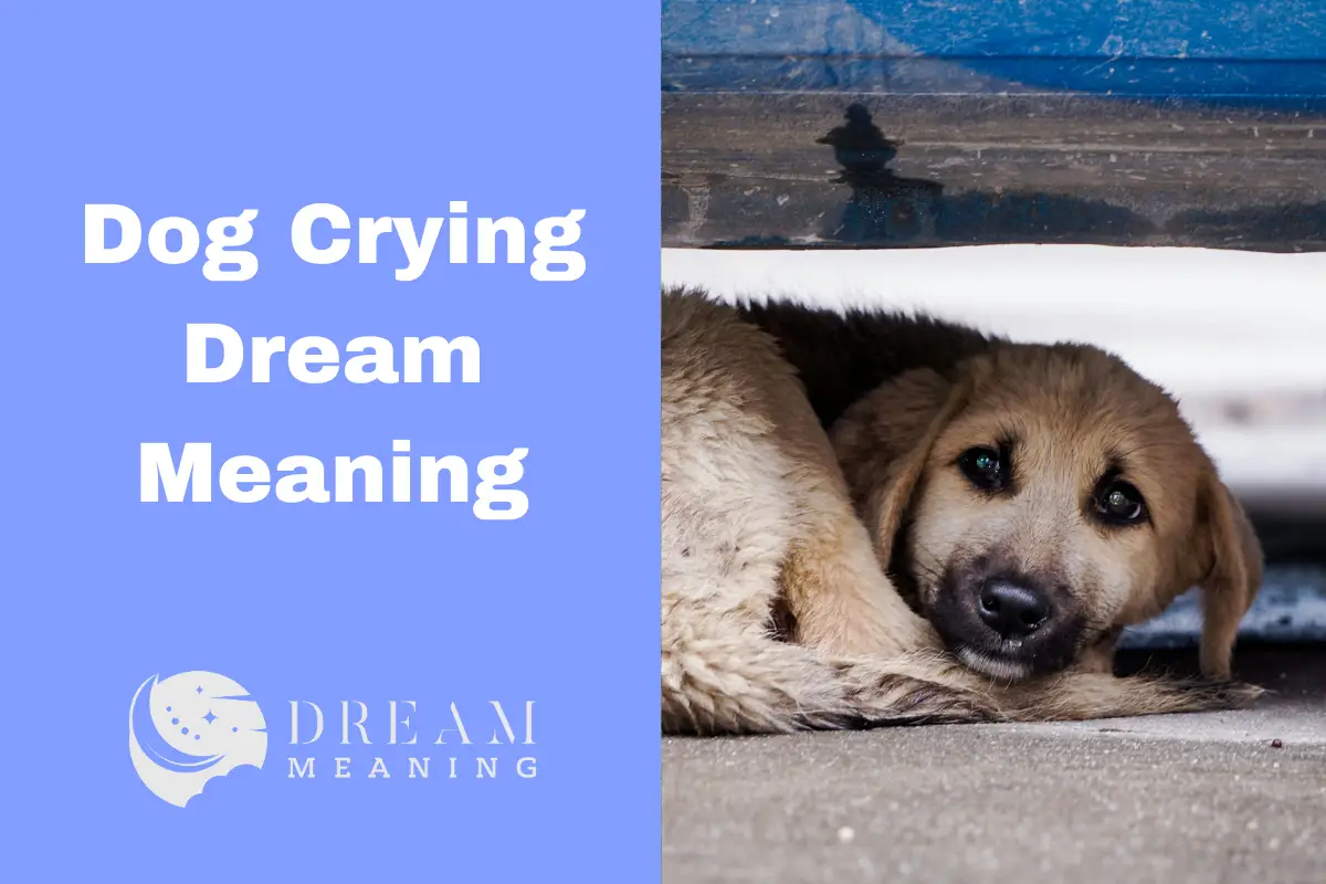 Dream Analysis What Does It Mean When You Dream About a Dog Crying