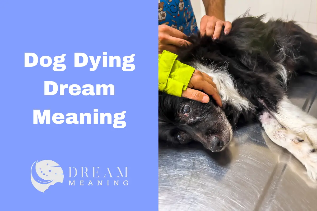 dog-dying-dream-meaning-what-does-it-mean-the-dream-meaning