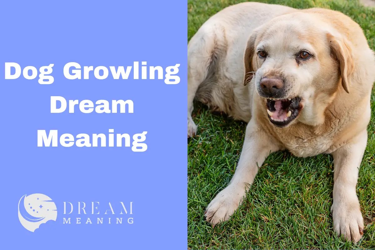 Dog Growling Dream Meaning