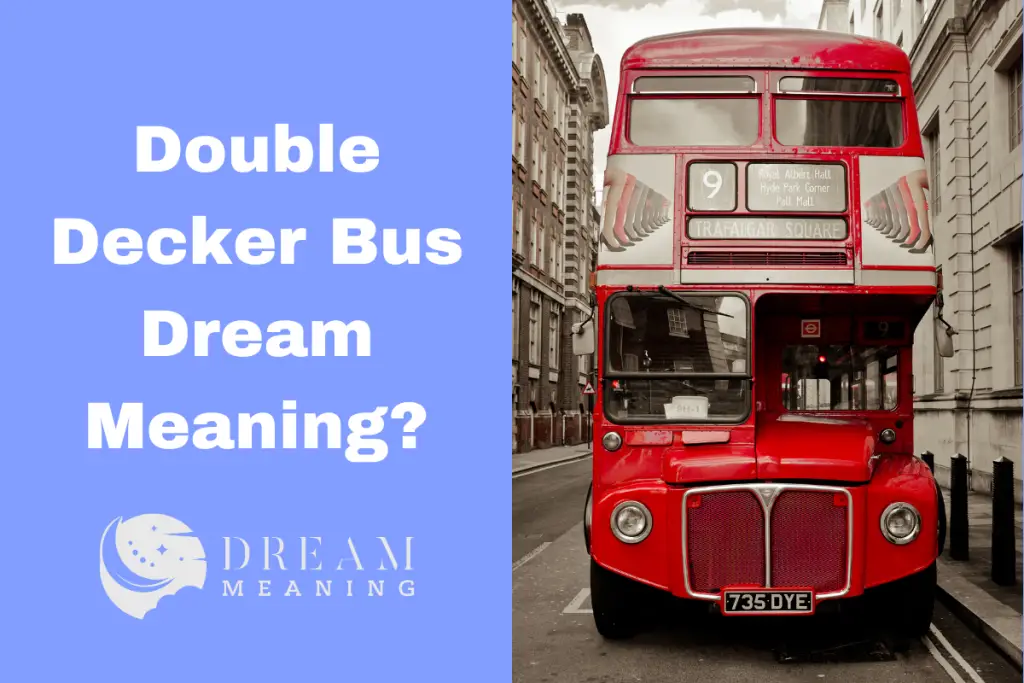 Understanding Double Decker Bus Dream Meaning What Does It Reveal busses-vs-buses-what-is-the-plural-form-of-bus-yourdictionary
