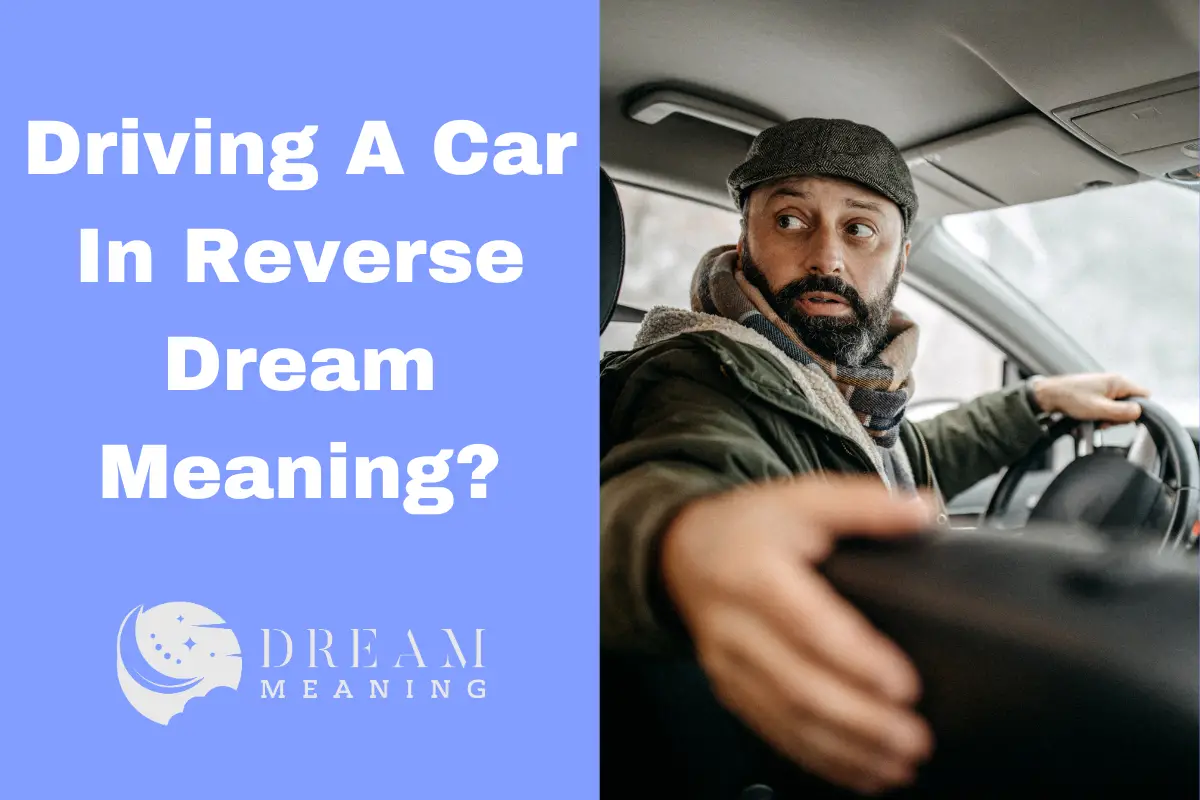 Driving A Car In Reverse Dream Meaning