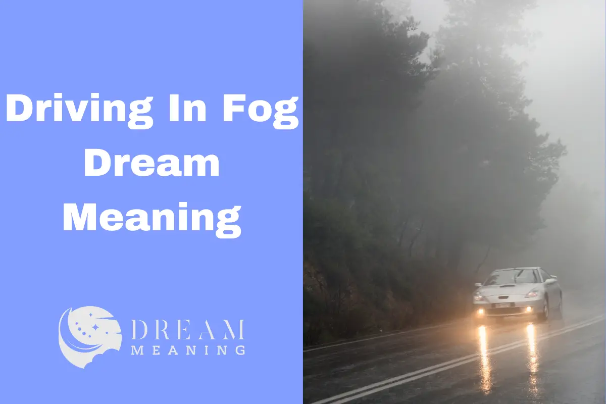 Driving In Fog Dream Meaning