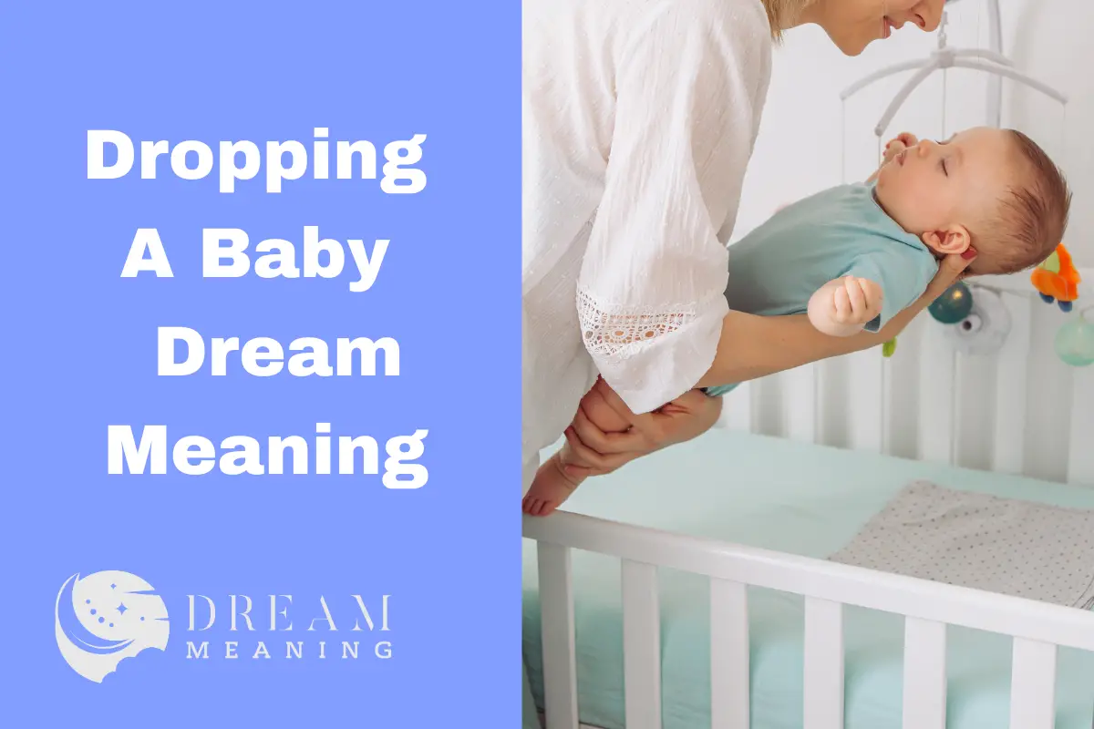 Dropping A Baby Dream Meaning