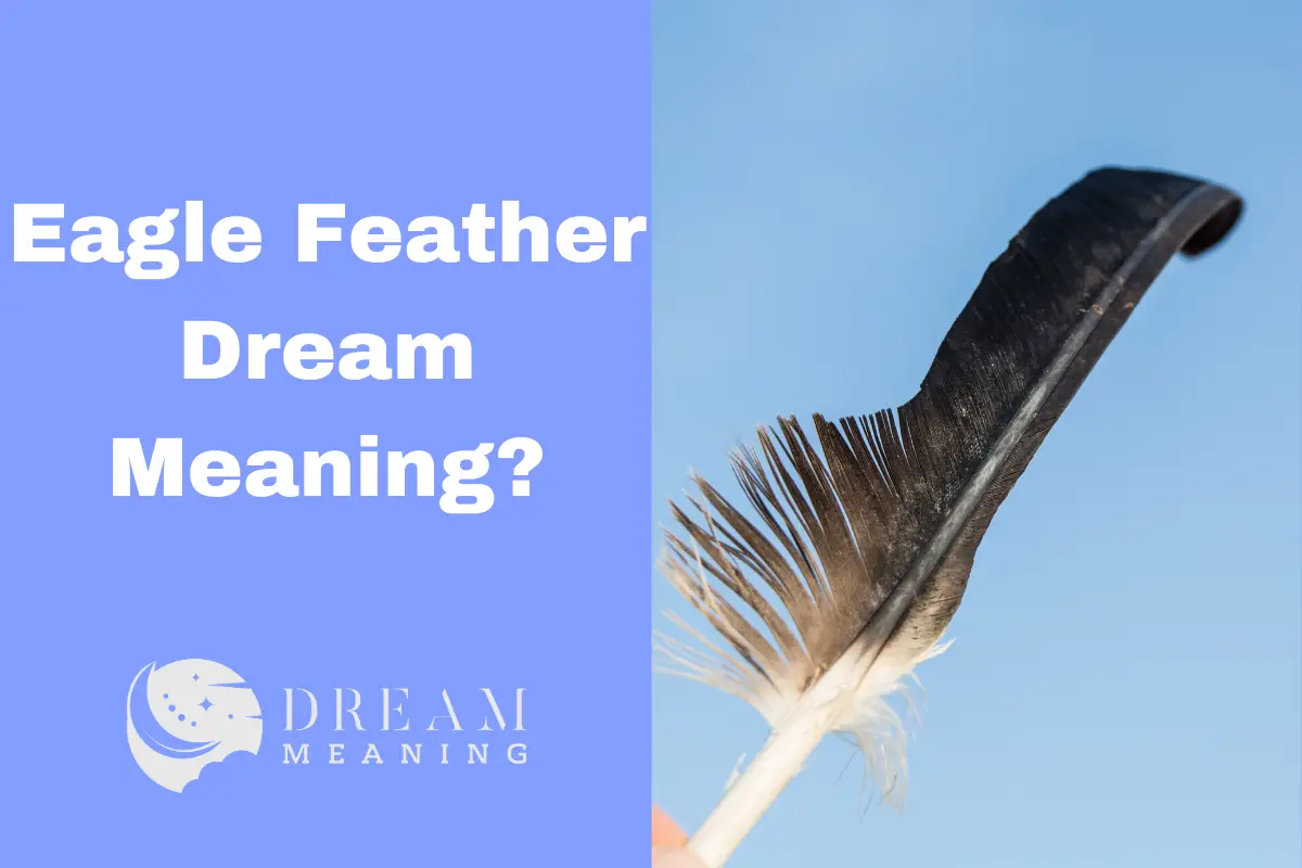 Eagle Feather Dream Meaning