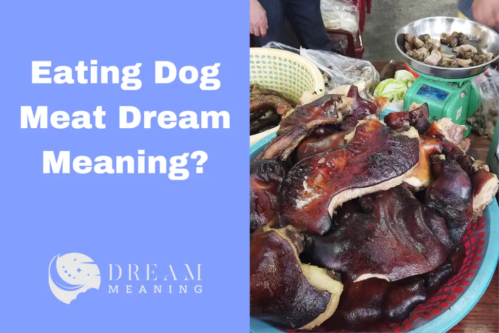 Dream Meaning Of Eating Dog Meat What Does It Mean? The Dream Meaning