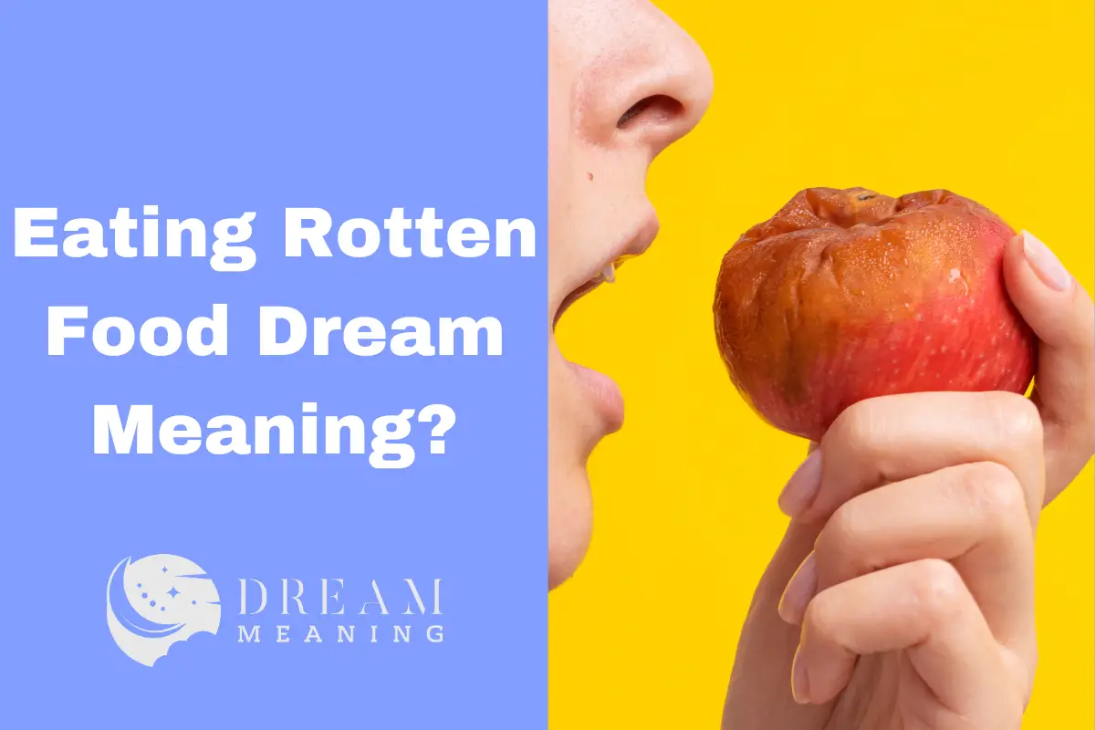 What Does Rotten Mean In French