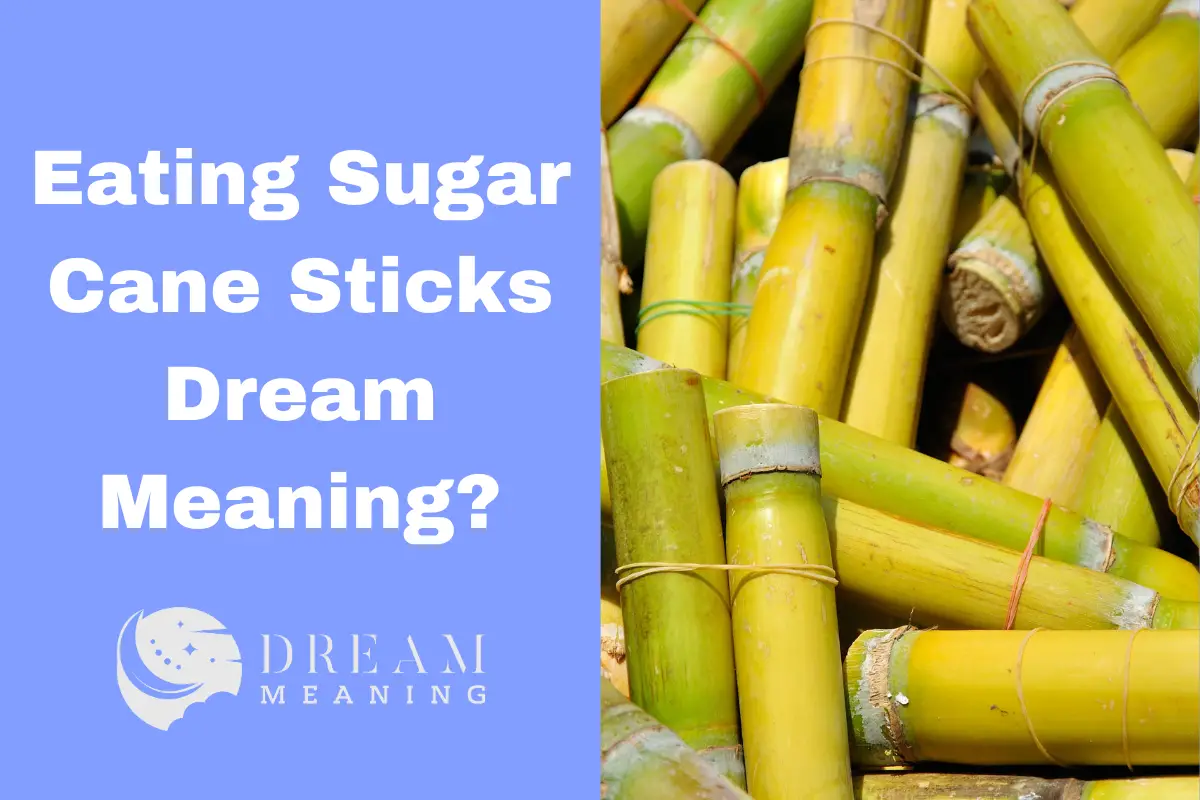 what-does-it-mean-to-dream-about-eating-sugar-cane-sticks-exploring