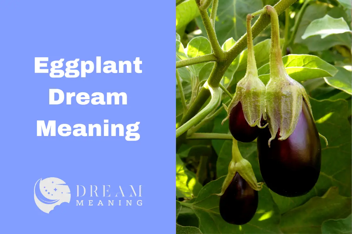 Dreaming Of Eggplants? Here's What It Means! The Dream Meaning