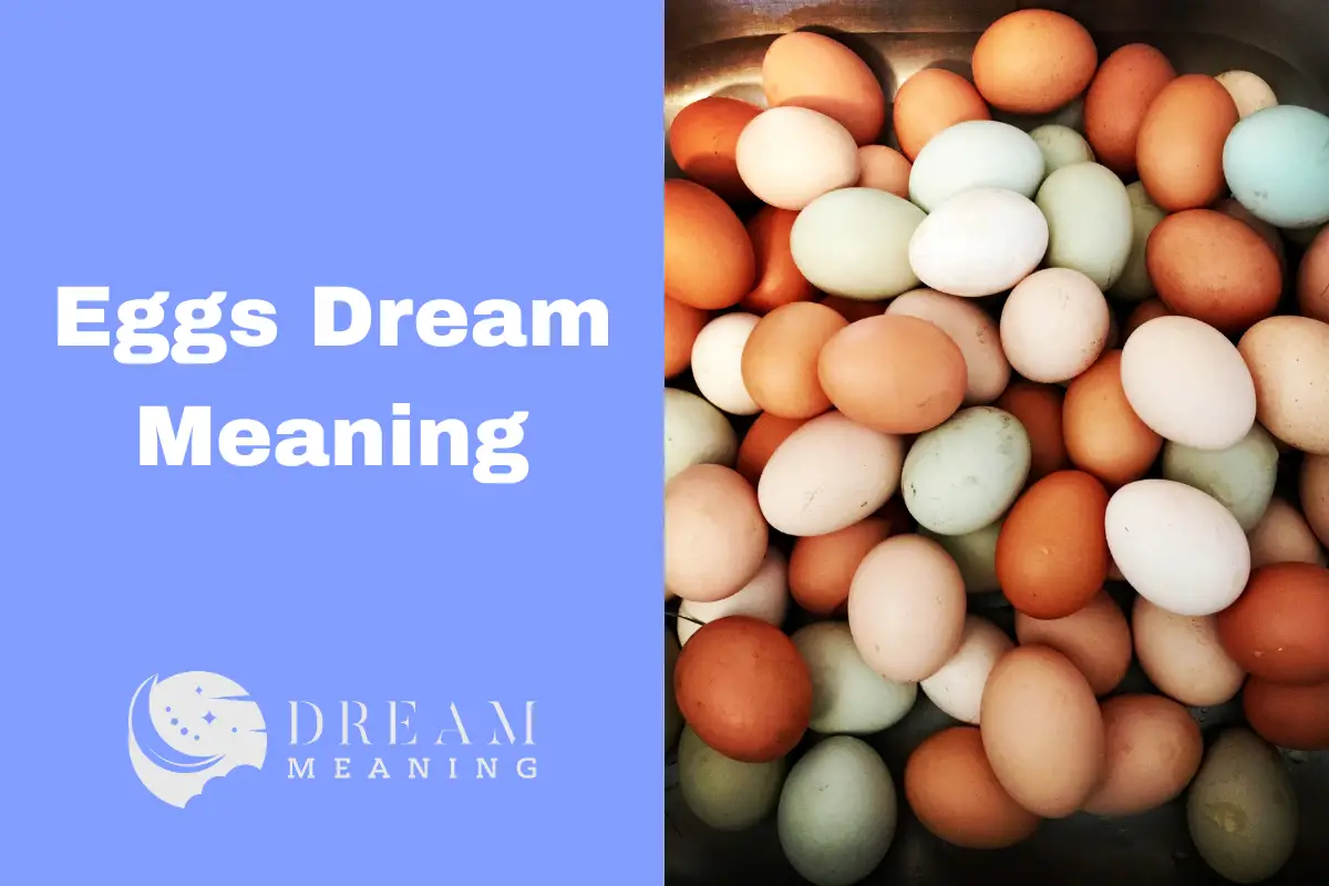 What Do Eggs Dream Meanings Really Represent? Discover The Deeper Meaning Here The Dream Meaning