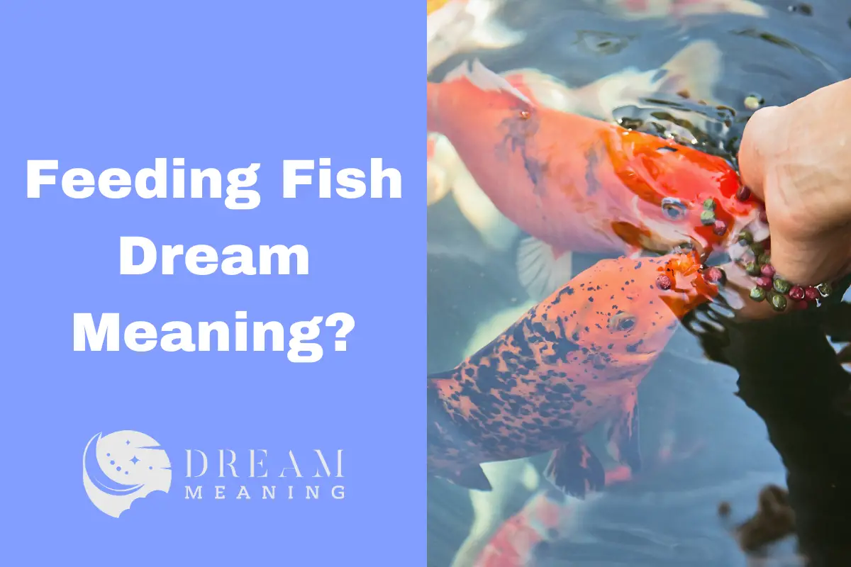 Feeding Fish Dream Meaning