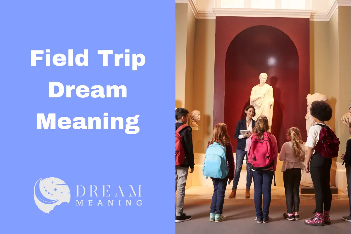 field trip dream meaning