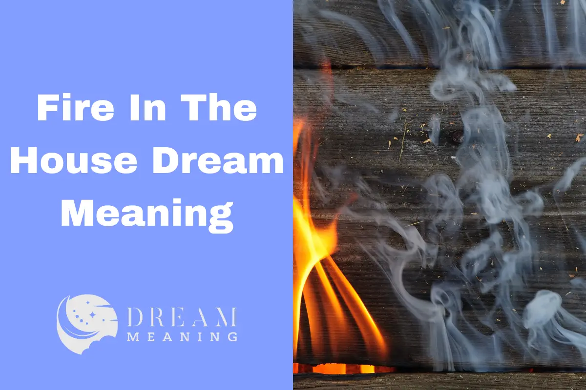 Disasters The Dream Meaning