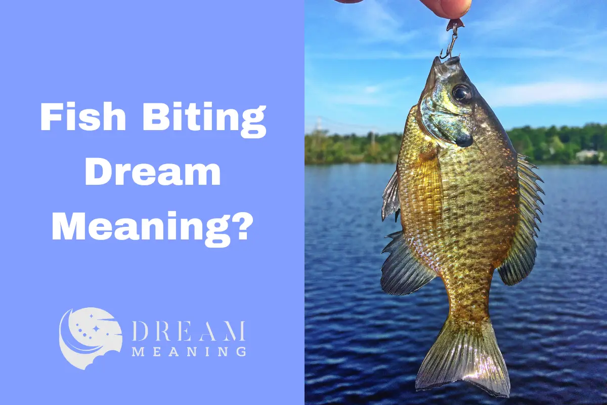 dream-meaning-of-fish-biting-what-it-reveals-about-your-life-the