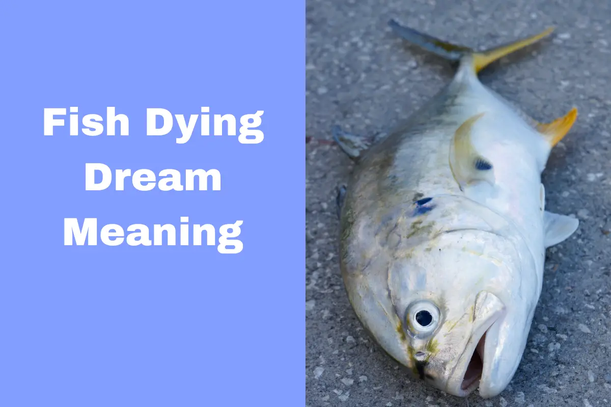 Fish Dying Dream Meaning