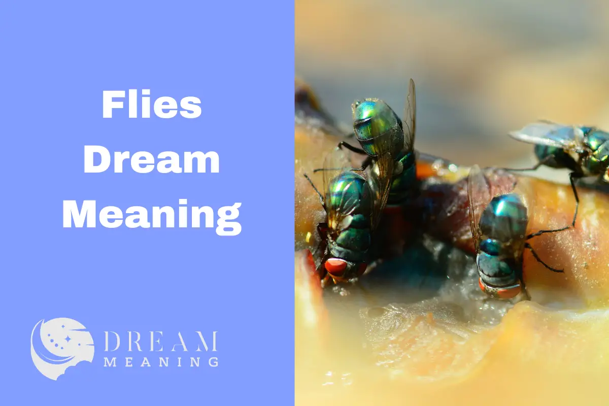 What Does It Mean When You Dream About Flies? Exploring The Symbolism The Dream Meaning
