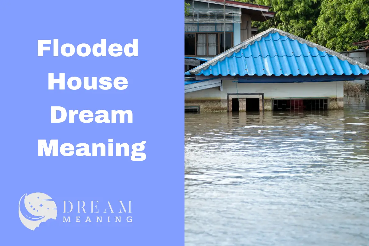 Flooded House Dream Meaning What Does It Mean & How To Interpret It? The Dream Meaning
