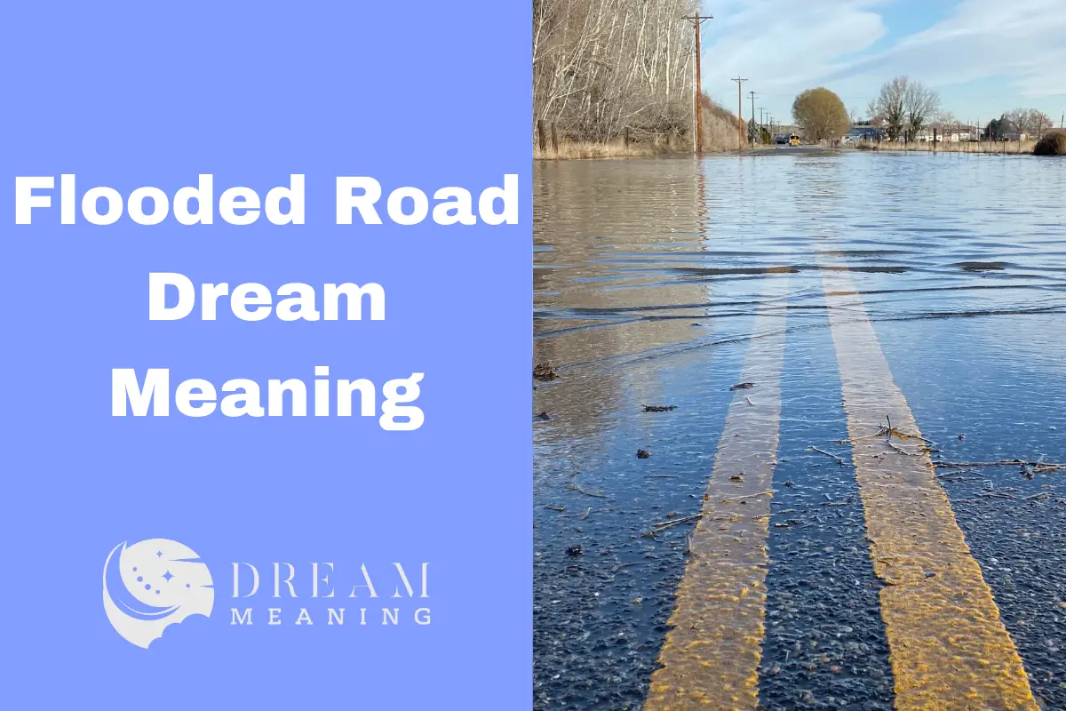 dreaming-of-a-flooded-road-here-s-what-it-could-mean-the-dream-meaning