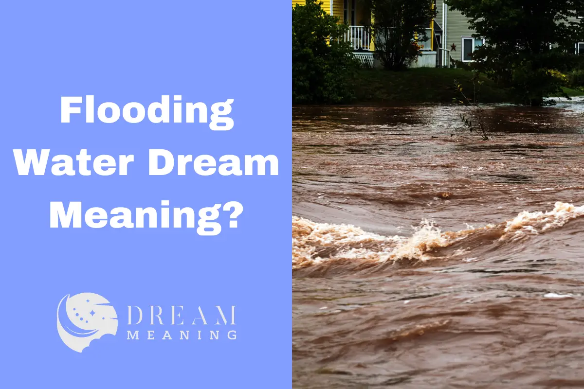 Flooding Water Dream Meaning What Does It Mean? The Dream Meaning