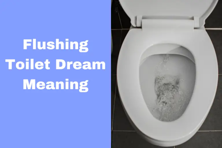 What Does It Mean When You Dream About Flushing A Toilet? Exploring The