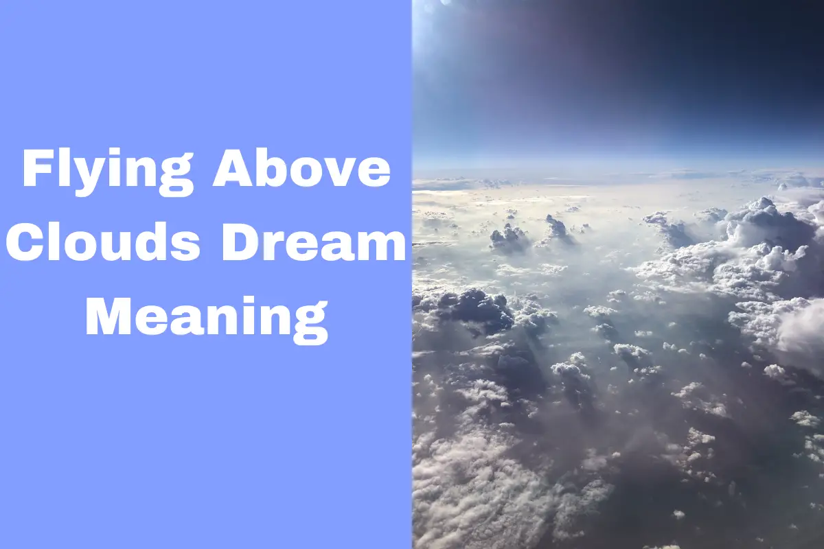 Dreaming Of Flying Above Clouds What Does It Mean? The Dream Meaning