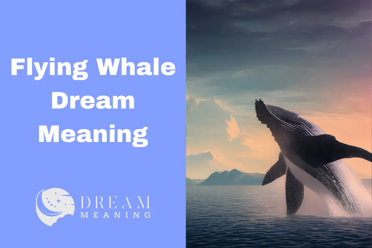 Dreaming About Flying Whales? Here's What It Means... - The Dream Meaning