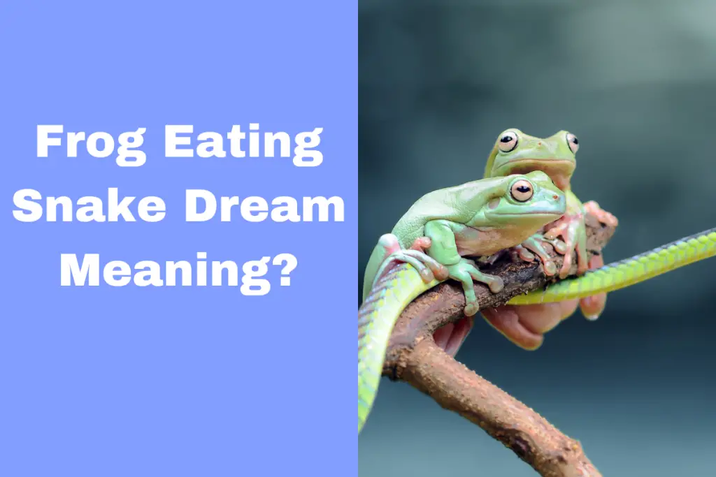 Discovering The Frog Eating Snake Dream Meaning Uncover What It Means For You! The Dream Meaning