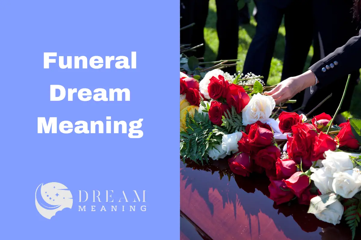 Funeral Dream Meaning What Does It Mean When You Dream About Funerals