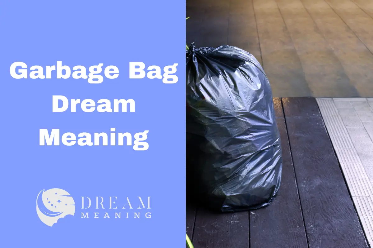 Garbage Bag Dream Meaning