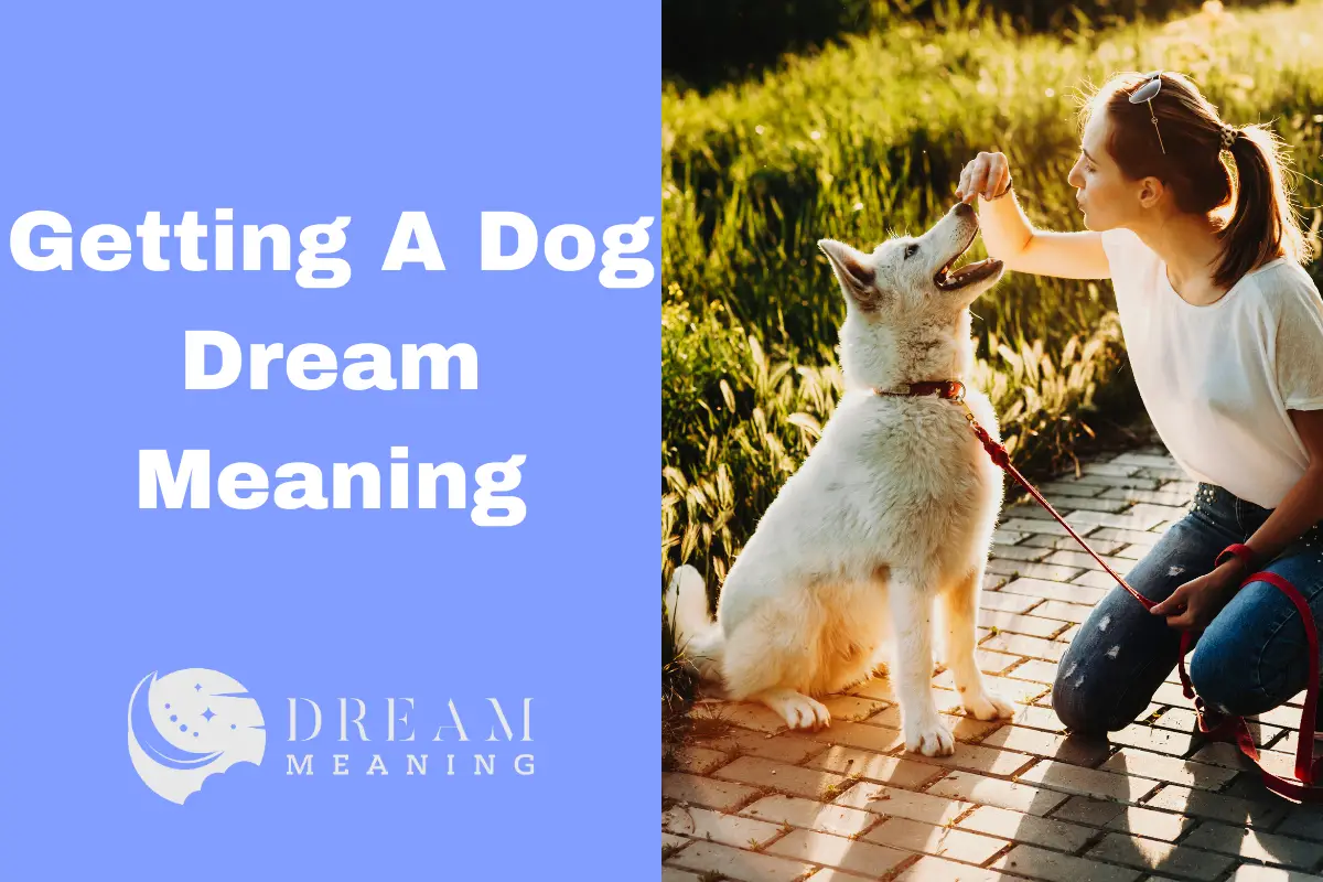 Getting A Dog Dream Meaning