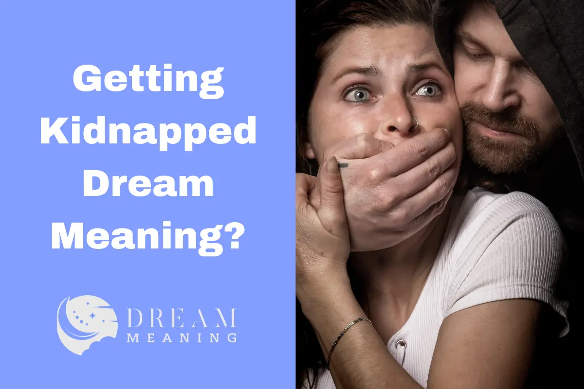 getting-kidnapped-in-your-dream-what-does-it-mean-the-dream-meaning