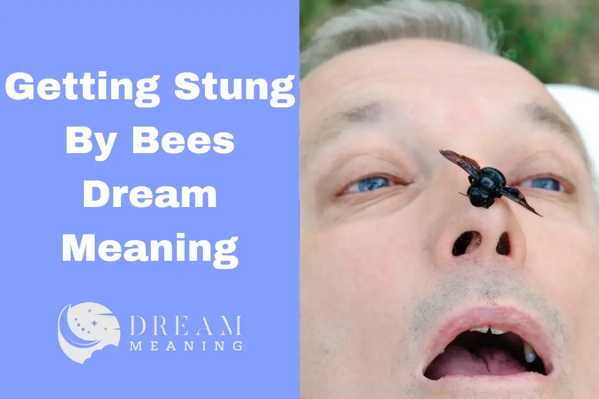 dream-interpretation-what-does-getting-stung-by-bees-mean-the-dream