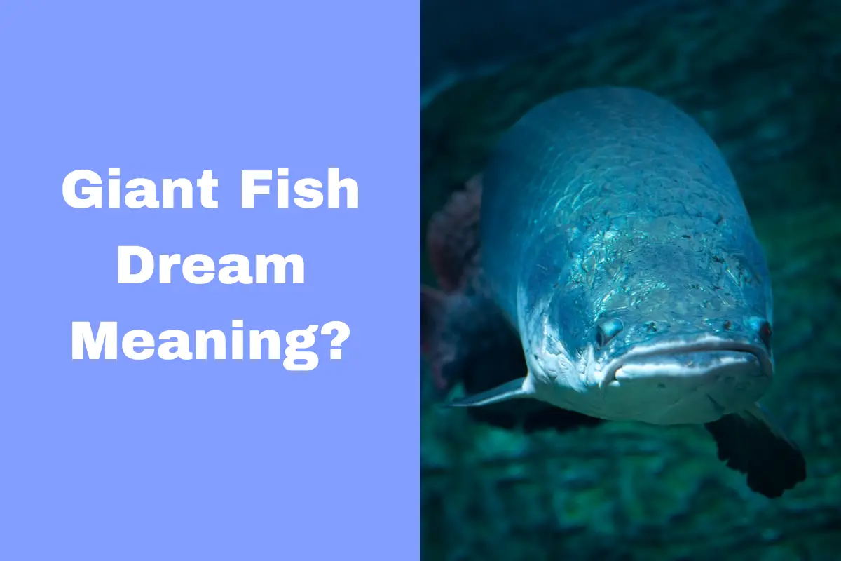 Giant Fish Dream Meaning