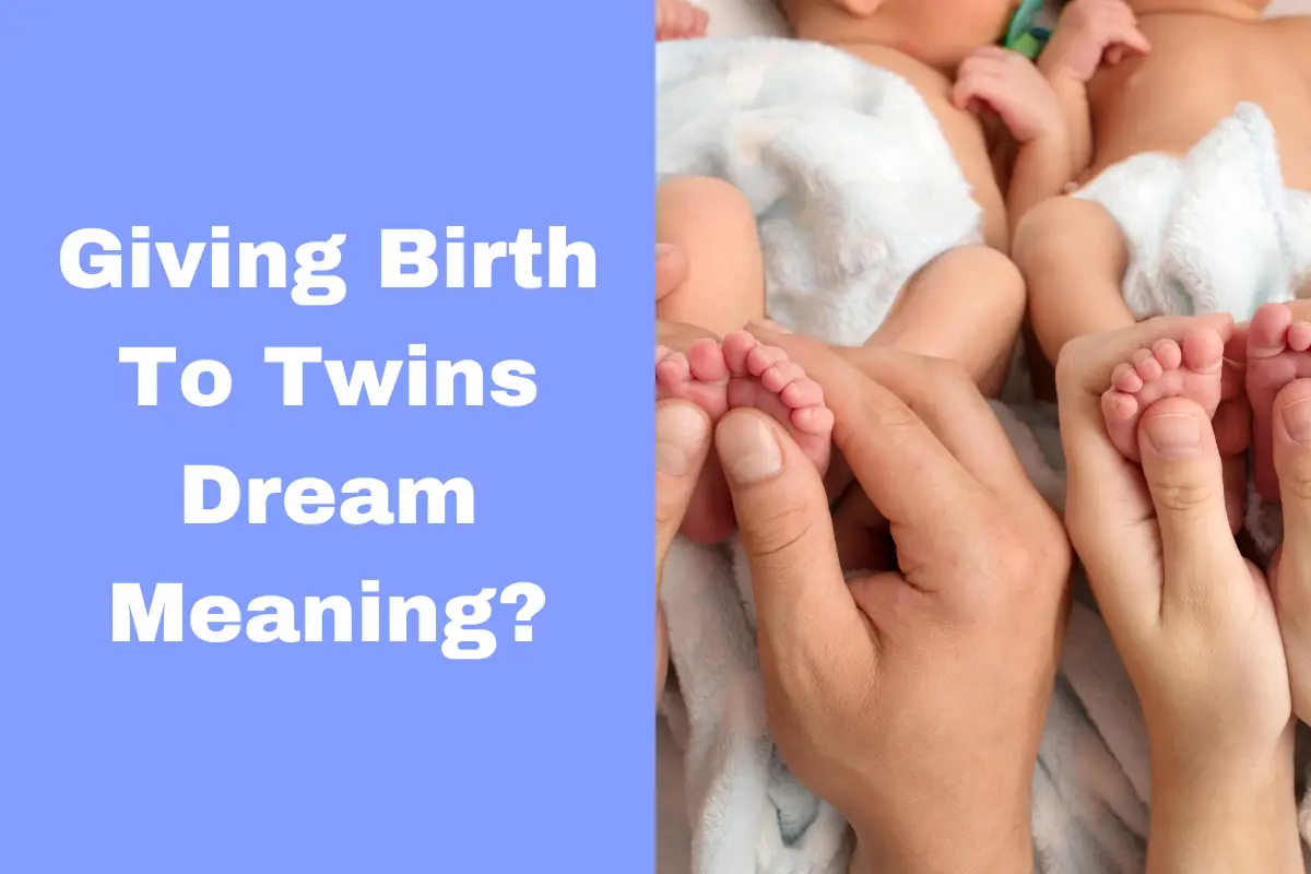 Giving Birth To Twins Dream Meaning