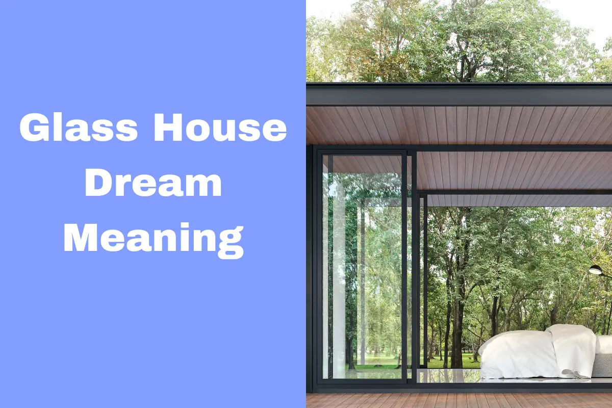 dreaming-of-a-glass-house-here-s-what-it-could-mean-the-dream-meaning