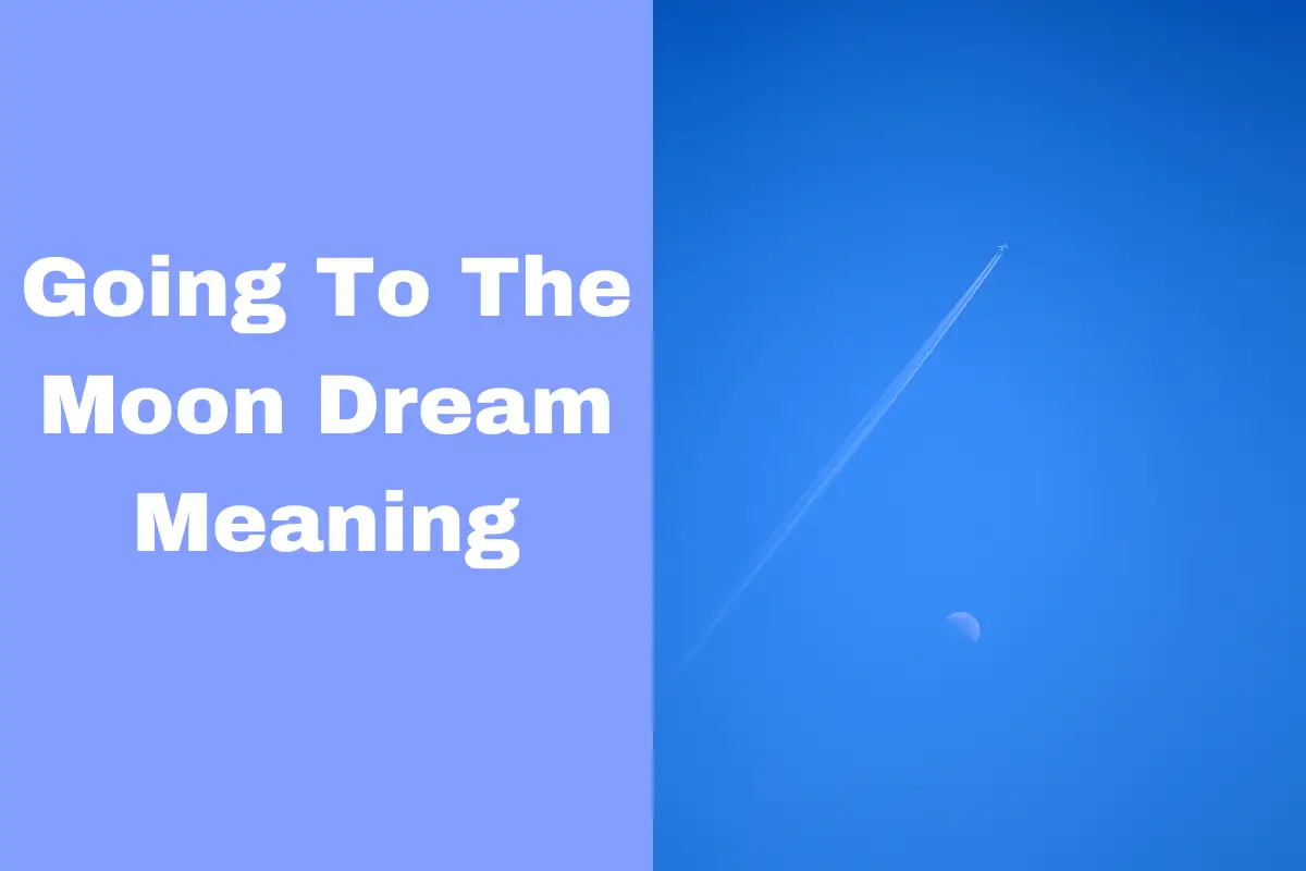 Going To The Moon Dream Meaning