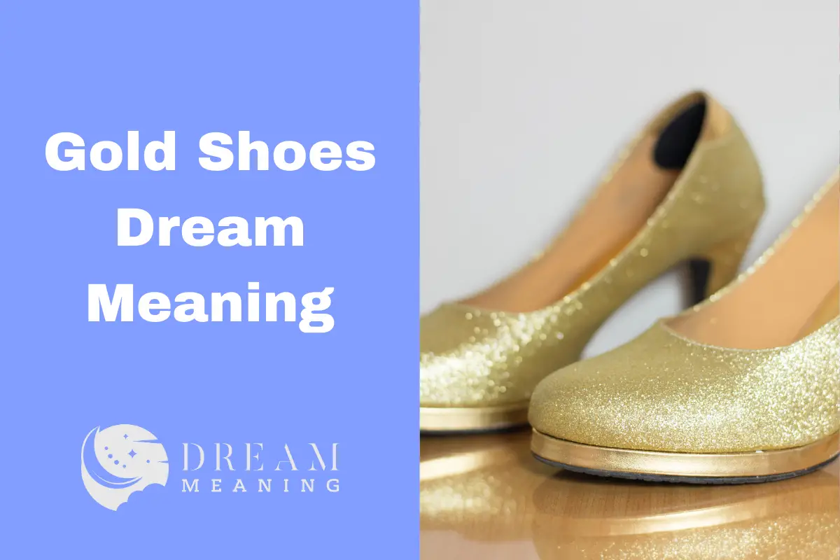 Gold Shoes Dream Meaning Uncovering The Hidden Symbolism The Dream