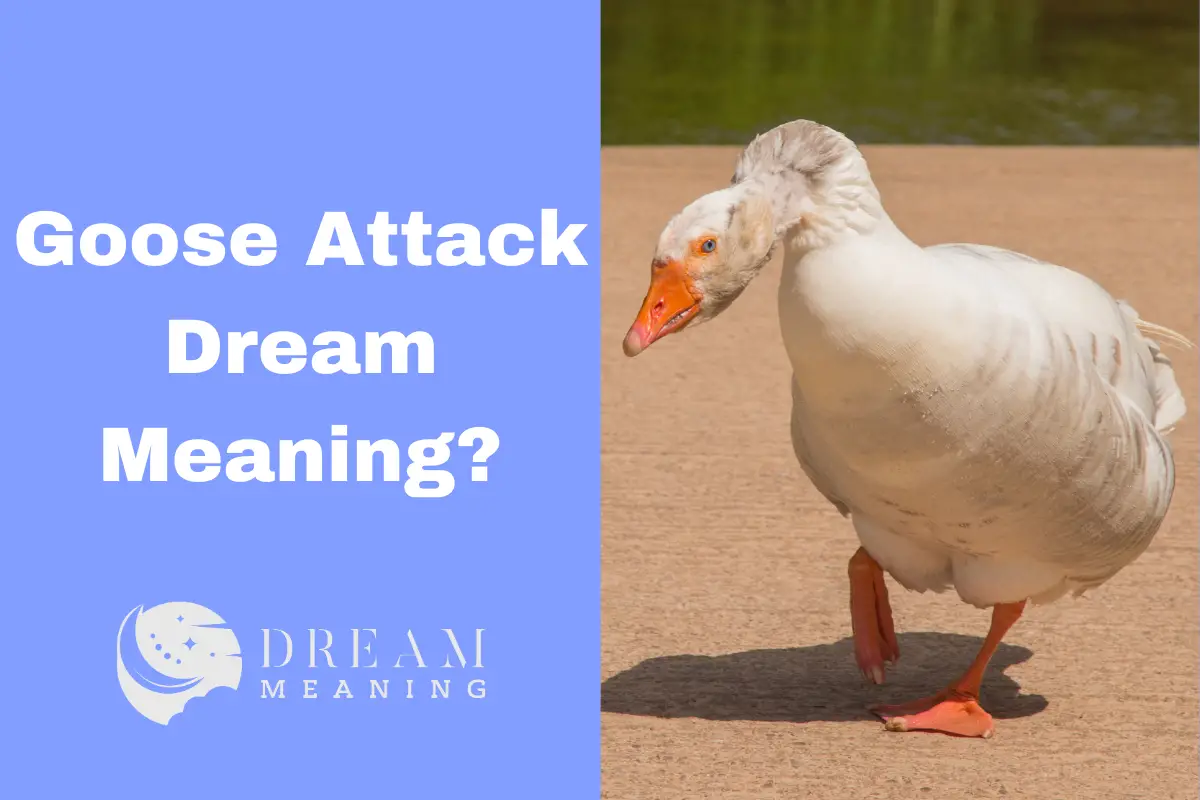 Goose Attack Dream Meaning