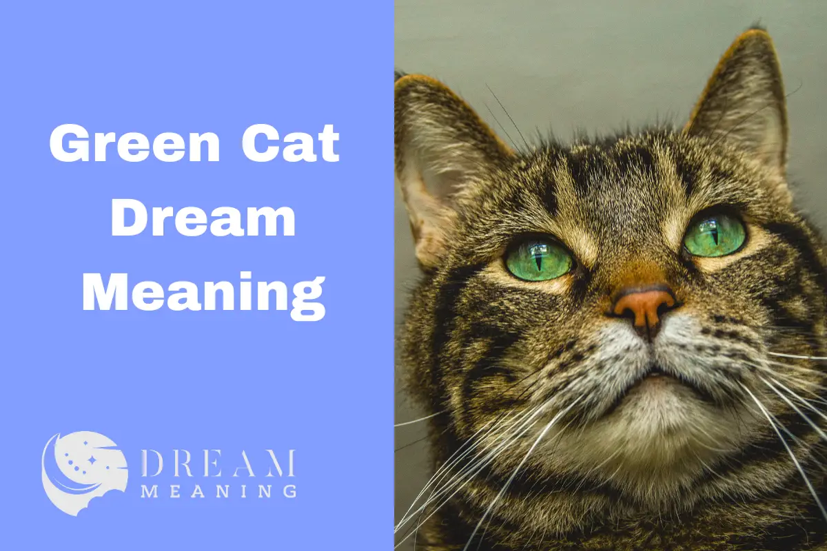 Uncovering the Meaning of a Green Cat Dream What Does It Mean For You