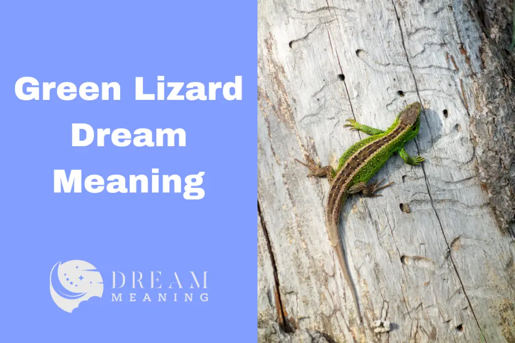 Unlock The Meaning Of Your Green Lizard Dream What Is It Trying To